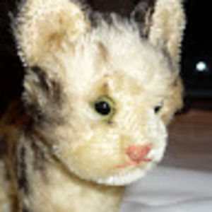 Meet your Posher, Leslie